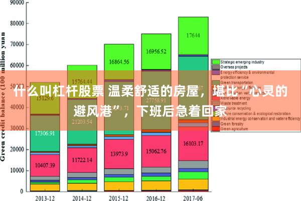 什么叫杠杆股票 温柔舒适的房屋，堪比“心灵的避风港”，下班后急着回家