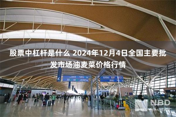 股票中杠杆是什么 2024年12月4日全国主要批发市场油麦菜价格行情