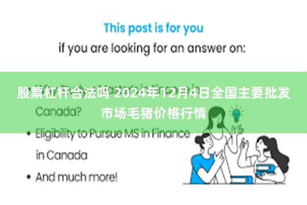 股票杠杆合法吗 2024年12月4日全国主要批发市场毛猪价格行情