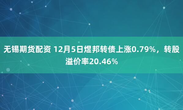 无锡期货配资 12月5日煜邦转债上涨0.79%，转股溢价率20.46%