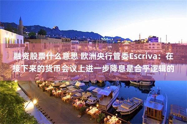 融资股票什么意思 欧洲央行管委Escriva：在接下来的货币会议上进一步降息是合乎逻辑的