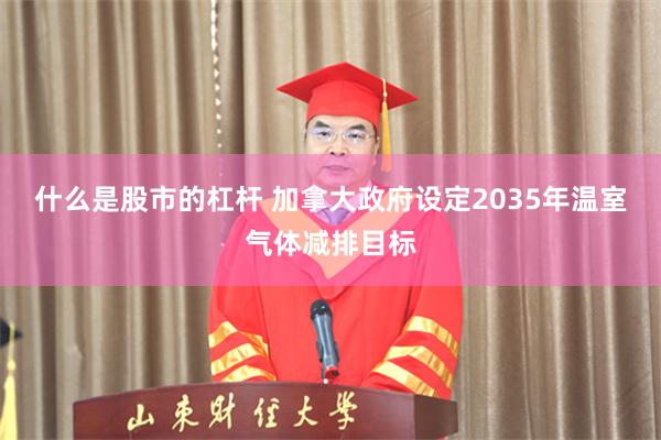 什么是股市的杠杆 加拿大政府设定2035年温室气体减排目标