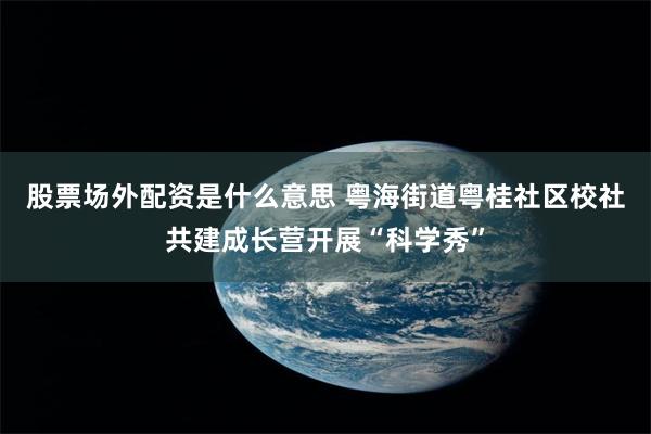 股票场外配资是什么意思 粤海街道粤桂社区校社共建成长营开展“科学秀”