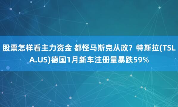 股票怎样看主力资金 都怪马斯克从政？特斯拉(TSLA.US)德国1月新车注册量暴跌59%