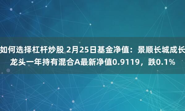 如何选择杠杆炒股 2月25日基金净值：景顺长城成长龙头一年持有混合A最新净值0.9119，跌0.1%